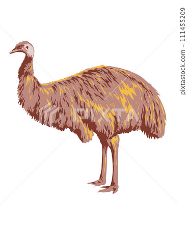 Emu Side View Isolated Background Art Deco WPA Poster Art Emu Side View Isolated Background Art Deco WPA Poster Art 111455209
