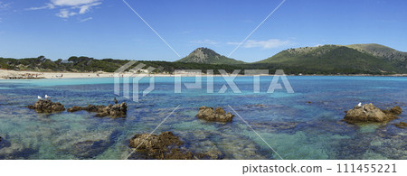 Cala Agulla's Vibrant Seascape: Sunlit Beach and Lush Mountains in Mallorca 111455221