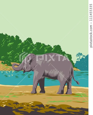 Indian Elephant in Mahanadi Elephant Reserve in Odisha India Art Deco WPA Poster Art Indian Elephant in Mahanadi Elephant Reserve in Odisha India Art Deco WPA Poster Art 111455335