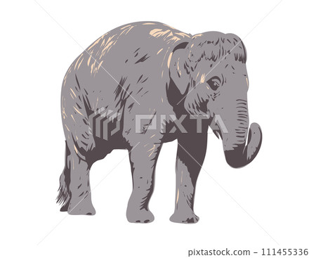 Indian Elephant Side View Isolated Background WPA Art 111455336