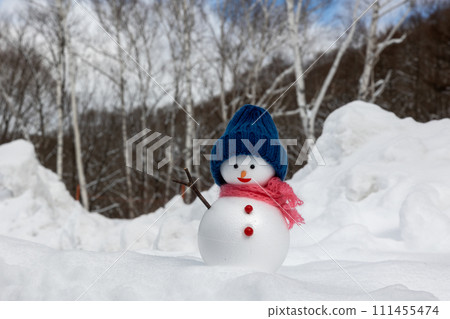 白樺林和雪人 111455474