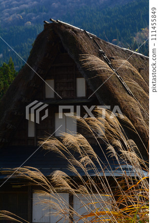 深秋的五簇山，相倉村 111455849