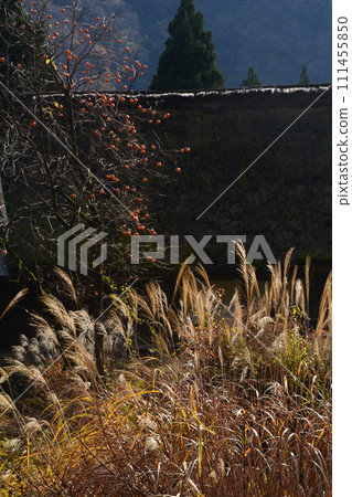 深秋的五簇山，相倉村 111455850