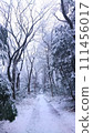 樹林裡的雪路 111456017