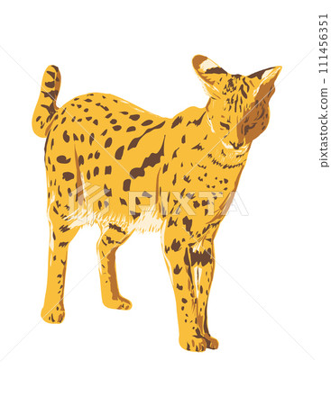 Serval or Leptailurus Serval Side View Isolated Background Art Deco WPA Poster Art 111456351