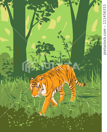 Bengal Tiger in Kanha Tiger Reserve Madhya Pradesh India Art Deco WPA Poster Art Bengal Tiger in Kanha Tiger Reserve Madhya Pradesh India Art Deco WPA Poster Art 111456353
