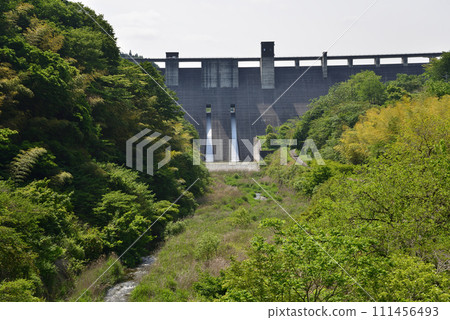 Oyama Dam 2023-5-21 #42 111456493
