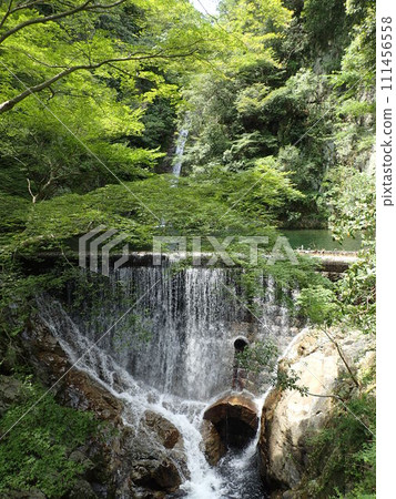 布引峽谷是流經兵庫縣神戶市北部布引山山谷的生田川，由布引瀑布、目瀧瀑布、津住瀑布、大瀧瀑布、夫婦瀑布組成。 111456558