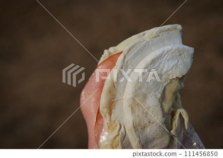 Tempo 米果（南部米果） 111456850