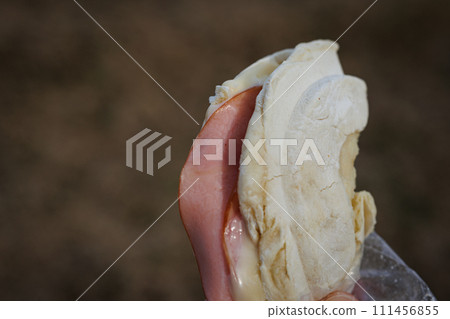 南部仙貝天寶（青森縣八戶市） 111456855