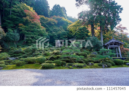 日式庭園與秋葉開始變色的協作場景 111457045