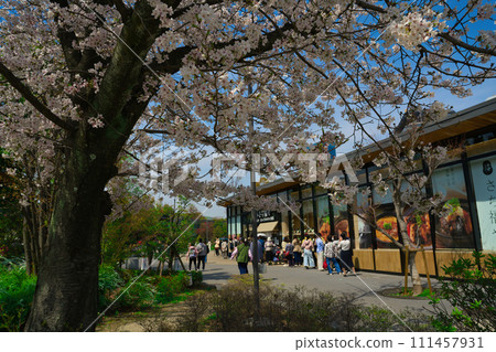[Osaka Prefecture] Restaurants in front of Osaka Castle Park Station that are crowded during March and holidays 111457931