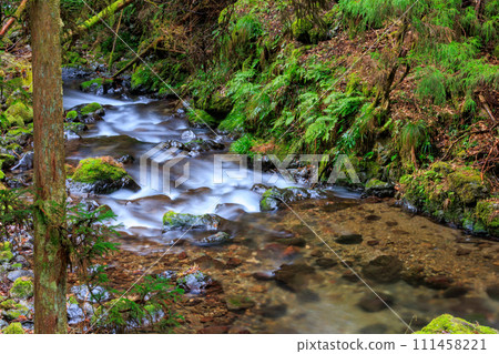 Landscape with water flow 111458221