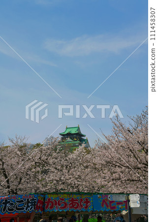 [Osaka Prefecture] March: Osaka Castle Park is crowded with tourists when the cherry blossoms are in full bloom 111458307