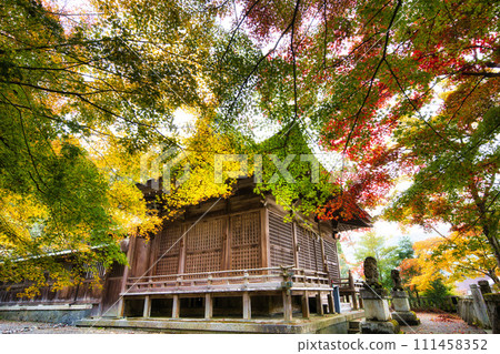Autumn leaves at Gifu Nagahiko Shrine Autumn leaves at Gifu Nagahiko Shrine 111458352