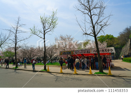 [Osaka Prefecture] March: Osaka Castle Park is crowded with tourists when the cherry blossoms are in full bloom 111458353