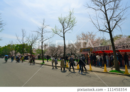 【大阪府】3月：櫻花盛開時，大阪城公園遊人如織 111458354