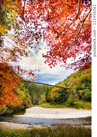 岐阜縣太良森林公園的吊橋，是著名的紅葉勝地 111458381