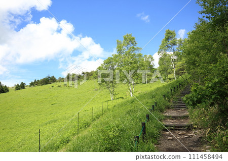夏季汽車山 夏季汽車山 111458494