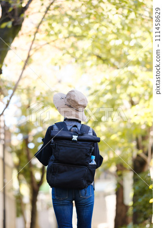 Hiking, mountain walking, back view 111458629