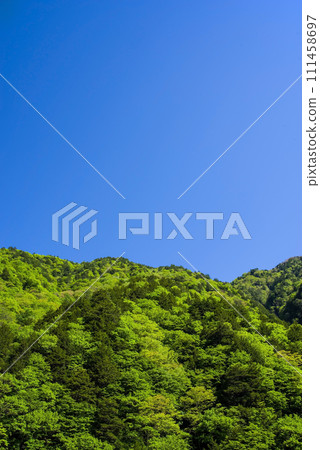 [Fresh green image] Refreshing scenery of fresh greenery and blue sky 111458697