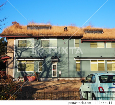 grass shop grass shop 111458911