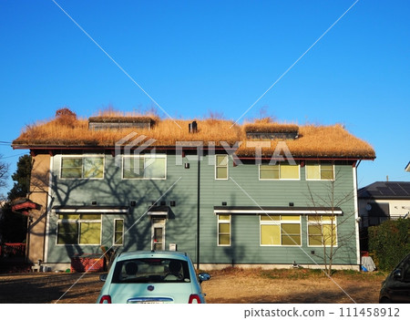 grass shop grass shop 111458912