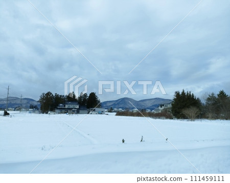 被雪覆蓋的田野 111459111
