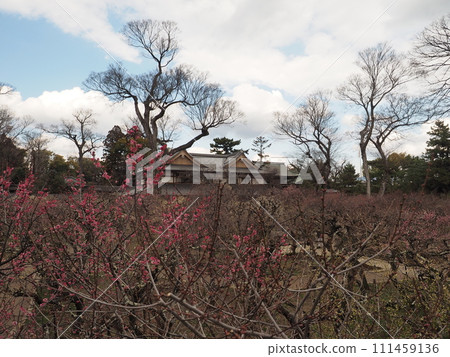 北野天滿宮 111459136