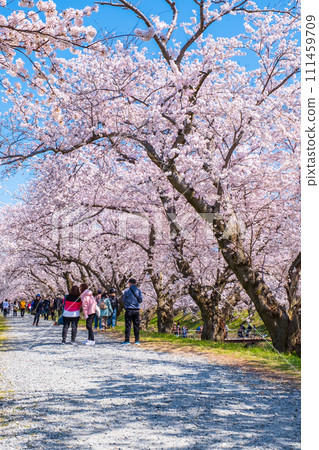 Asahi Funagawa River 111459709