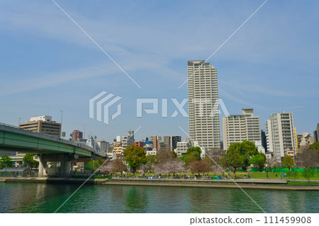 [Osaka Prefecture] Urban landscape with cherry blossoms in full bloom in March 111459908