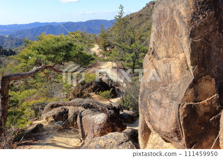 甲南阿爾卑斯 道山登山步道 111459950