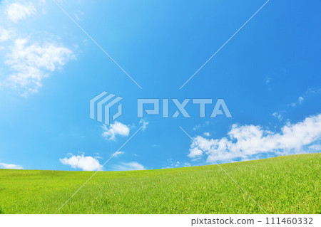 清爽的夏日藍天和清新的綠色草甸景觀 111460332