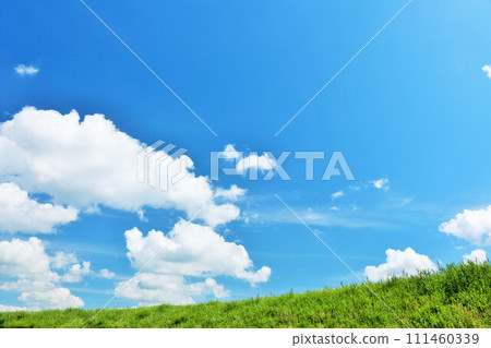 Refreshing summer blue sky and fresh green meadow landscape 111460339