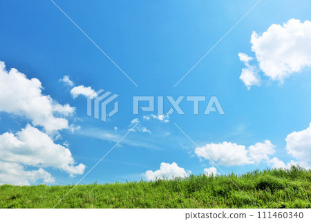 Refreshing summer blue sky and fresh green meadow landscape Refreshing summer blue sky and fresh green meadow landscape 111460340