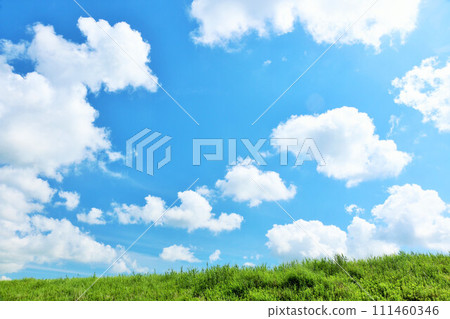 清爽的夏日藍天和清新的綠色草甸景觀 111460346