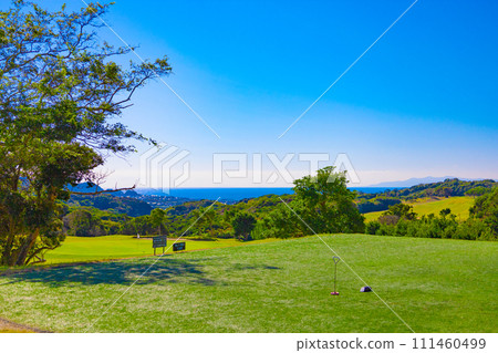 藍天壯麗、下坡球場眺望大海的高爾夫球場發球區風景（神奈川縣湯河原町） 111460499