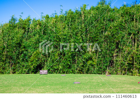 Scenery of the start point of the teeing area of a long course golf course with a magnificent blue sky (Yugawara Town, Kanagawa Prefecture) Scenery of the start point of the teeing area of a long course golf course with a magnificent blue sky (Yugawara Town, Kanagawa Prefecture) 111460613