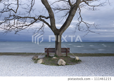 That bench and the shore of Lake Biwa (horizontal view 14) 111461215