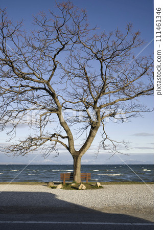 That bench and the shore of Lake Biwa (horizontal composition 21) That bench and the shore of Lake Biwa (horizontal composition 21) 111461346