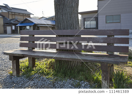 That bench and sandalwood tree (horizontal composition 19) 111461389