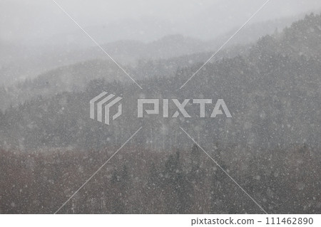 Snowy forest landscape Snowy forest landscape 111462890