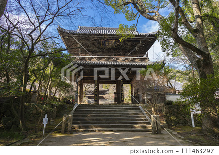 Kozanji Temple in Shimonoseki City, Yamaguchi Prefecture 111463297