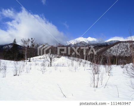 Mt. Norikura seen from Loach Pond in Ichinose Enchi, Norikura Highlands, on a sunny day in early spring just before the snow melts. 111463947