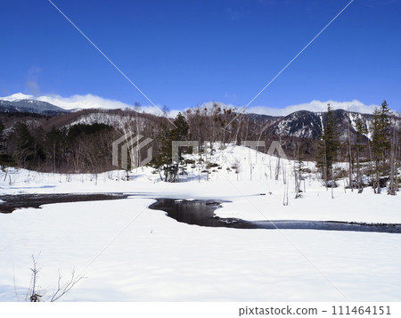 初春的乘鞍高原一之川地的“泥鰍池”,陽光明媚,積雪即將融化 初春的乘鞍高原一之川地的“泥鰍池”,陽光明媚,積雪即將融化 111464151