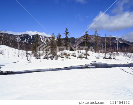 初春的乘鞍高原一之川地的“泥鰍池”，陽光明媚，積雪即將融化 111464152