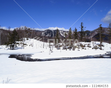 初春的乘鞍高原一之川地的“泥鰍池”，陽光明媚，積雪即將融化 111464153