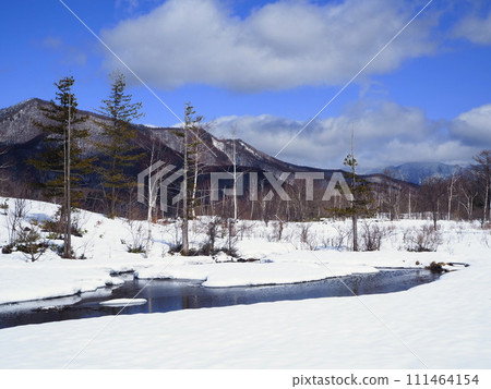 初春的乘鞍高原一之川地的“泥鰍池”,陽光明媚,積雪即將融化 初春的乘鞍高原一之川地的“泥鰍池”,陽光明媚,積雪即將融化 111464154