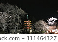 Five-story pagoda at night 111464327