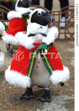 松江沃格爾公園海角企鵝聖誕版 111464413